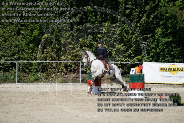 s_K3F03799.JPG